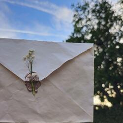 Valentine (best self)