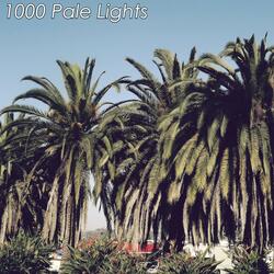 1000 Pale Lights