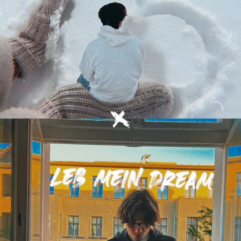 schnee unpitched x leb mein dream