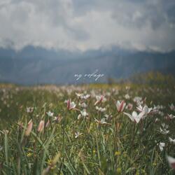 my refuge