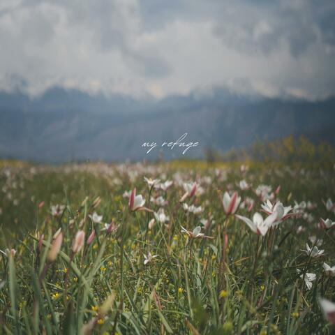 my refuge