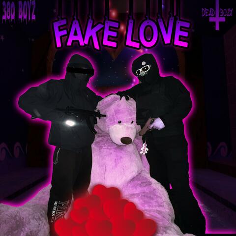 Fake Love (feat. Bleak)