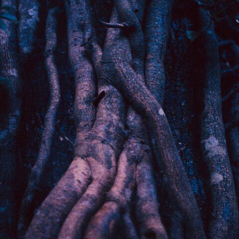 MISS (feat. Godwin. & Vinyltru)