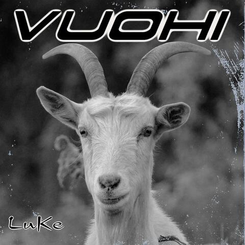 Vuohi