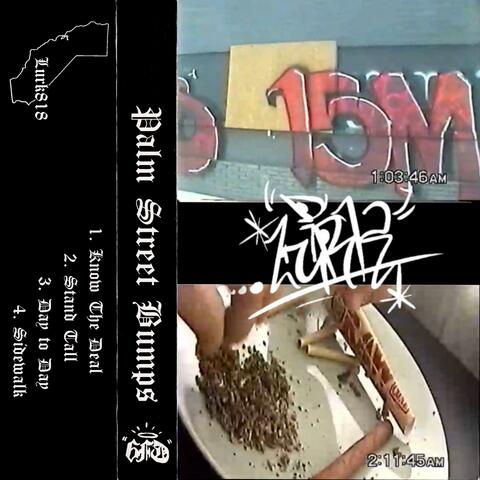 Palm Street Bumps