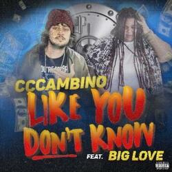 Like You Don't Know (feat. Big Love)