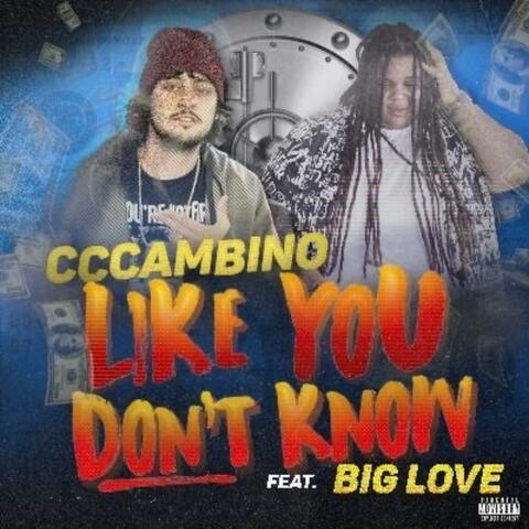 Like You Don't Know (feat. Big Love)