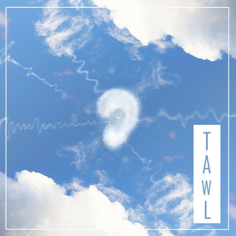 TAWL