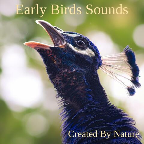 Early Birds Sounds
