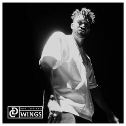 WINGS
