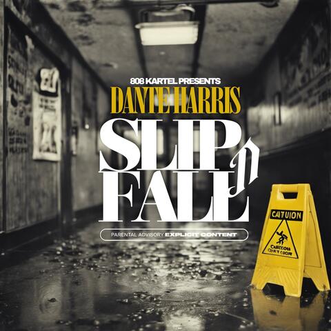 Slip n Fall