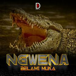 Ngwena