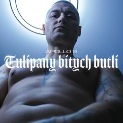 Tulipany bitych butli