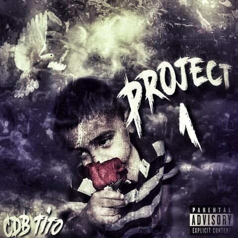 Project 1