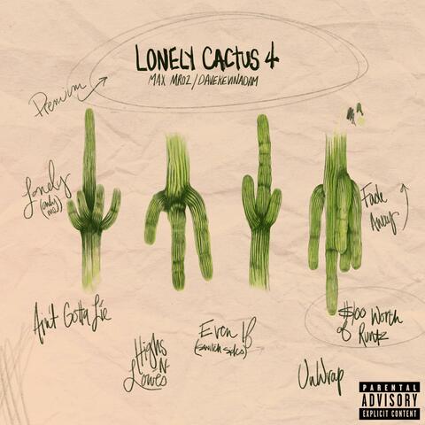 Lonely Cactus 4