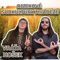 Rizikové subkultury mládeže