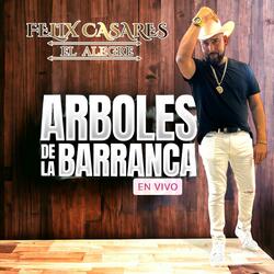 Arboles de la barranca