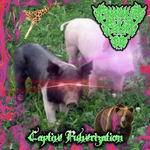 Daddy Pig (Demo)