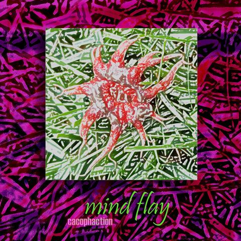 Mind Flay