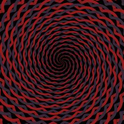 Spin