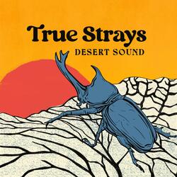 Desert Sound