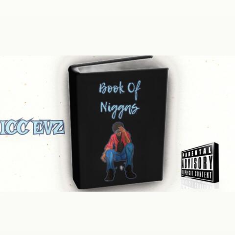 Book of Niggas