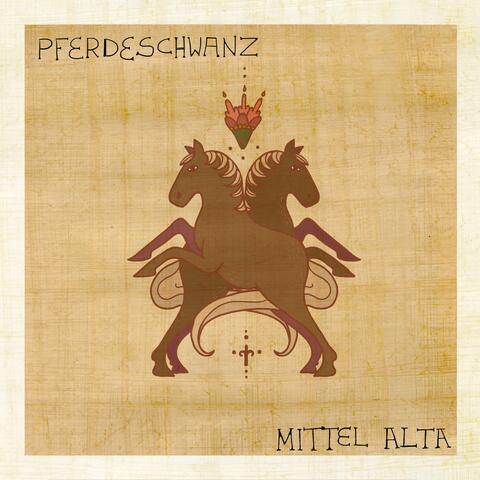 Pferdeschwanz