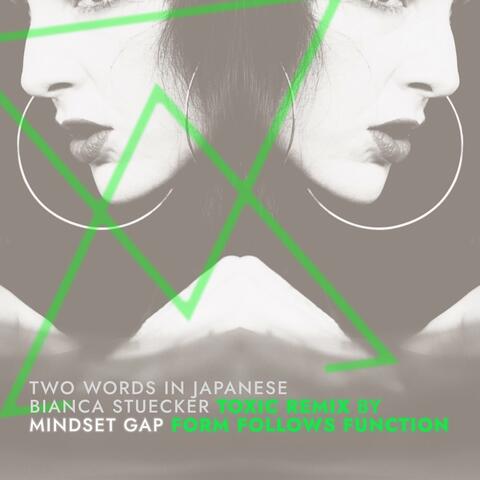 Mindset Gap (feat. Form Follows Function) [Toxic Remix by Form Follows Function]