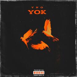 YOK
