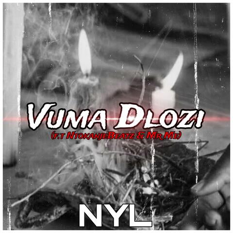 Vuma Dlozi (feat. NtokanjeBeatz & Mr Me)