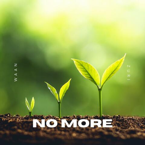 no more (feat. Waan)