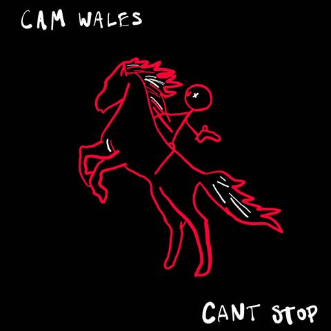 Cant Stop