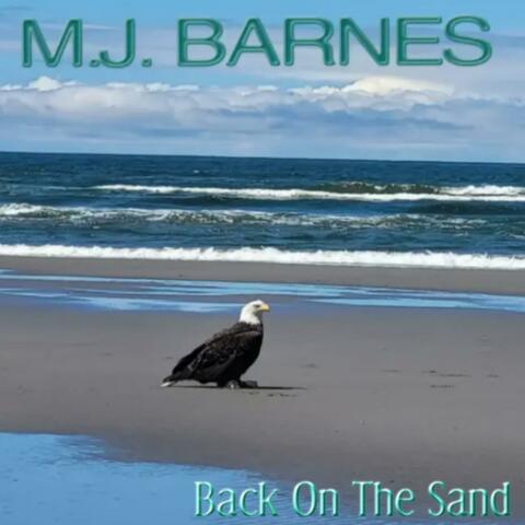 Back On The Sand