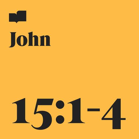 John 15:1-4 (feat. Kristina Meyer)