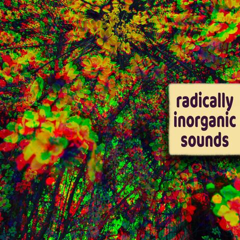 Radically Inorganic Sounds