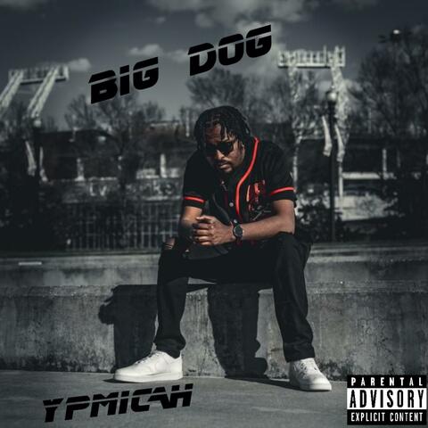 Big Dog