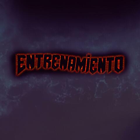 Entrenamiento y Motivación