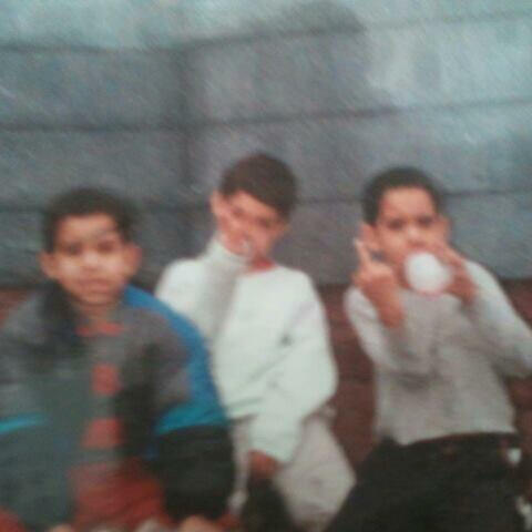 Bassett$treetChronicles