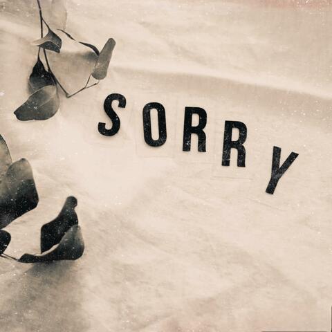 SORRY