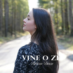 Vine o Zi