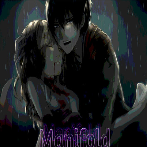 Manifold