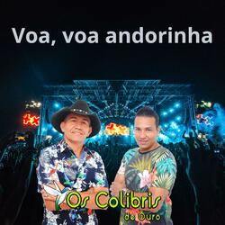 Voa,Voa Andorinha