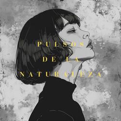 Exploración Y Miradas