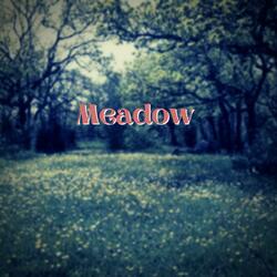 Meadow