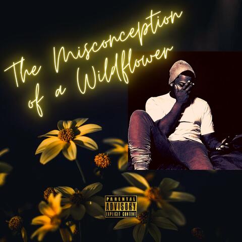 The Misconception of a Wildflower