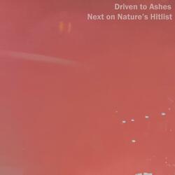 Stare Into the Light