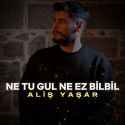 Ne Tu Gul ne Ez Bilbil