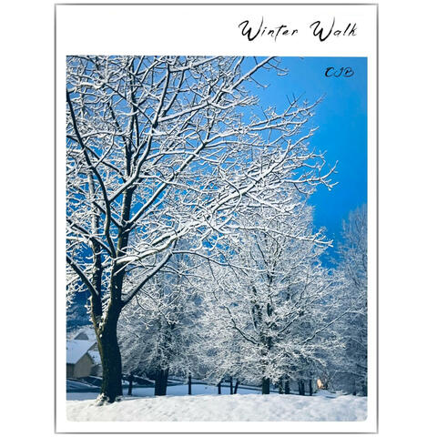 Winter Walk