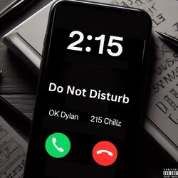 Do Not Disturb (feat. 215Chillz)