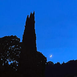 The Moon Won’t Lead Me Back